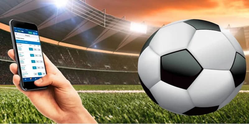 Câu hỏi thường gặp về thể thao Vua99